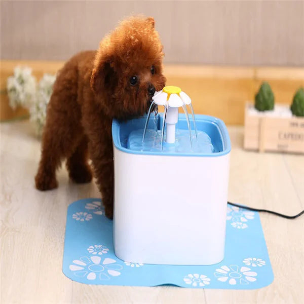 Pet Hydration Station, Electric Dog Fountain